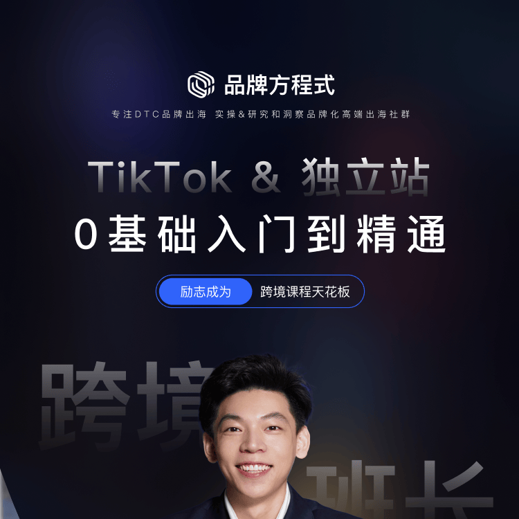 独立站&TikTok 0基础入门到精通